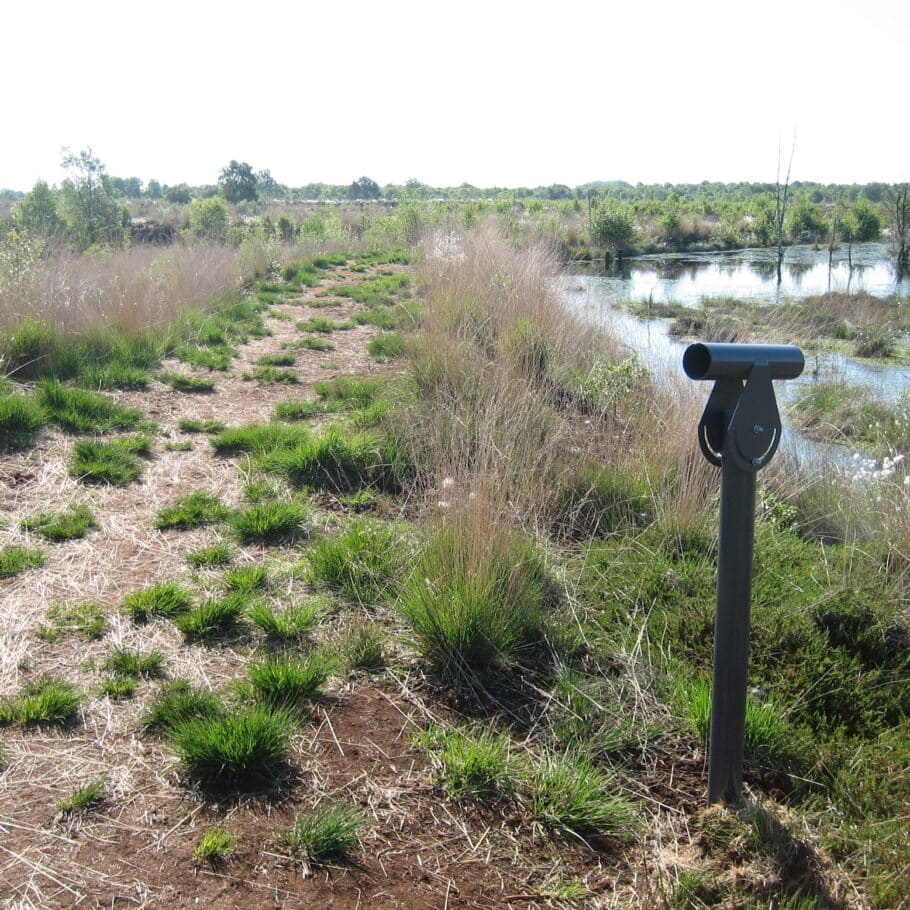 Heide an der Thülsfelder Talsperre / Copyright: Erholungsgebiet Thülsfelder Talsperre e. V.