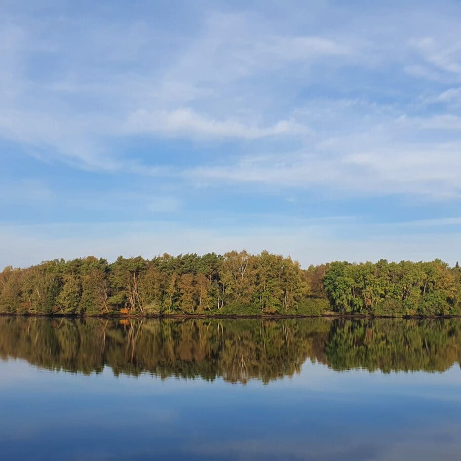 Blick auf die Thülsfelder Talsperre / Copyright: Erholungsgebiet Thülsfelder Talsperre e. V.